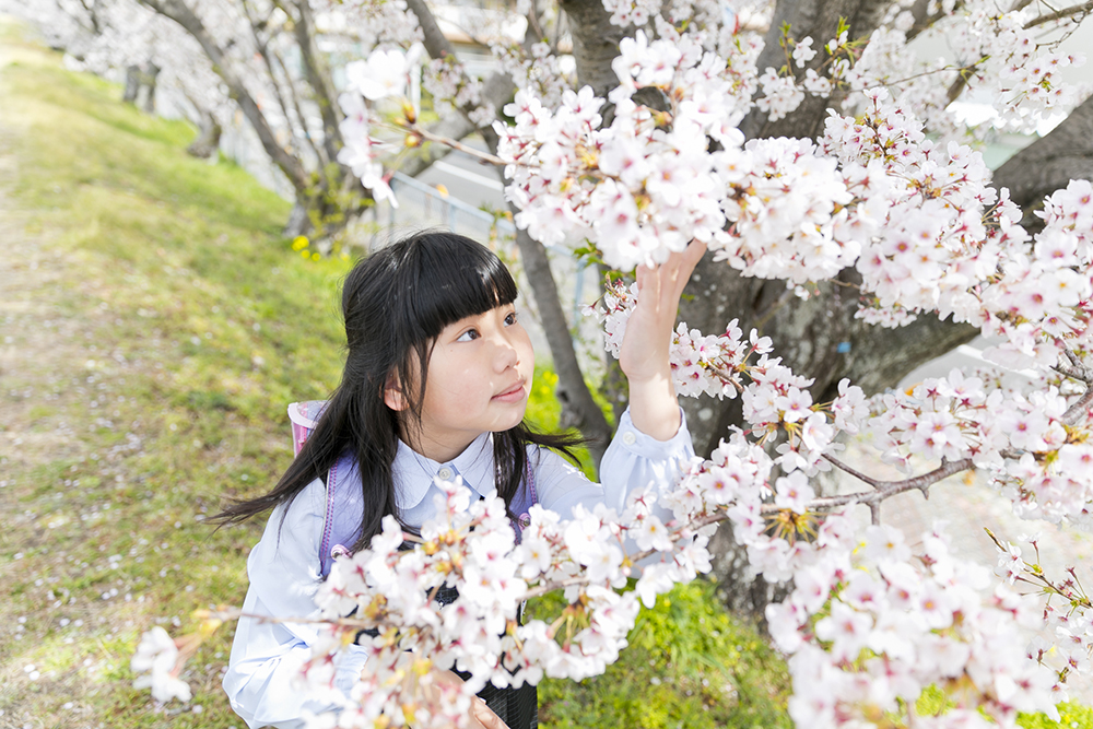 小学校入学記念